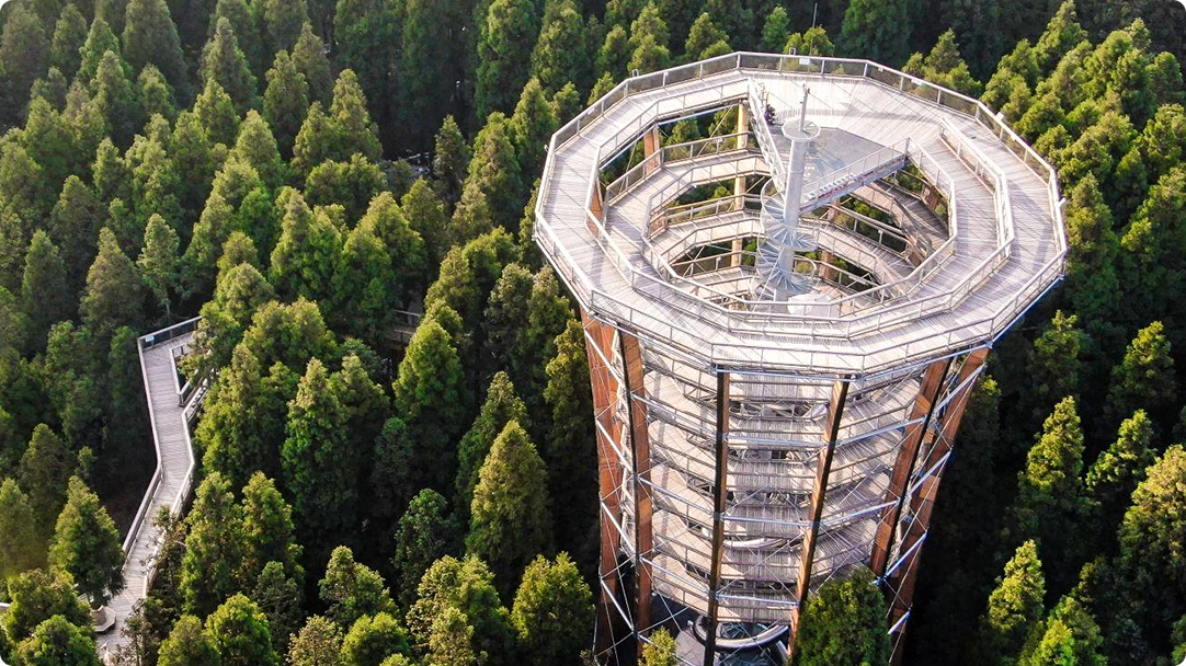 Muntele Xiannv - Tree Top Walk, Chongqing